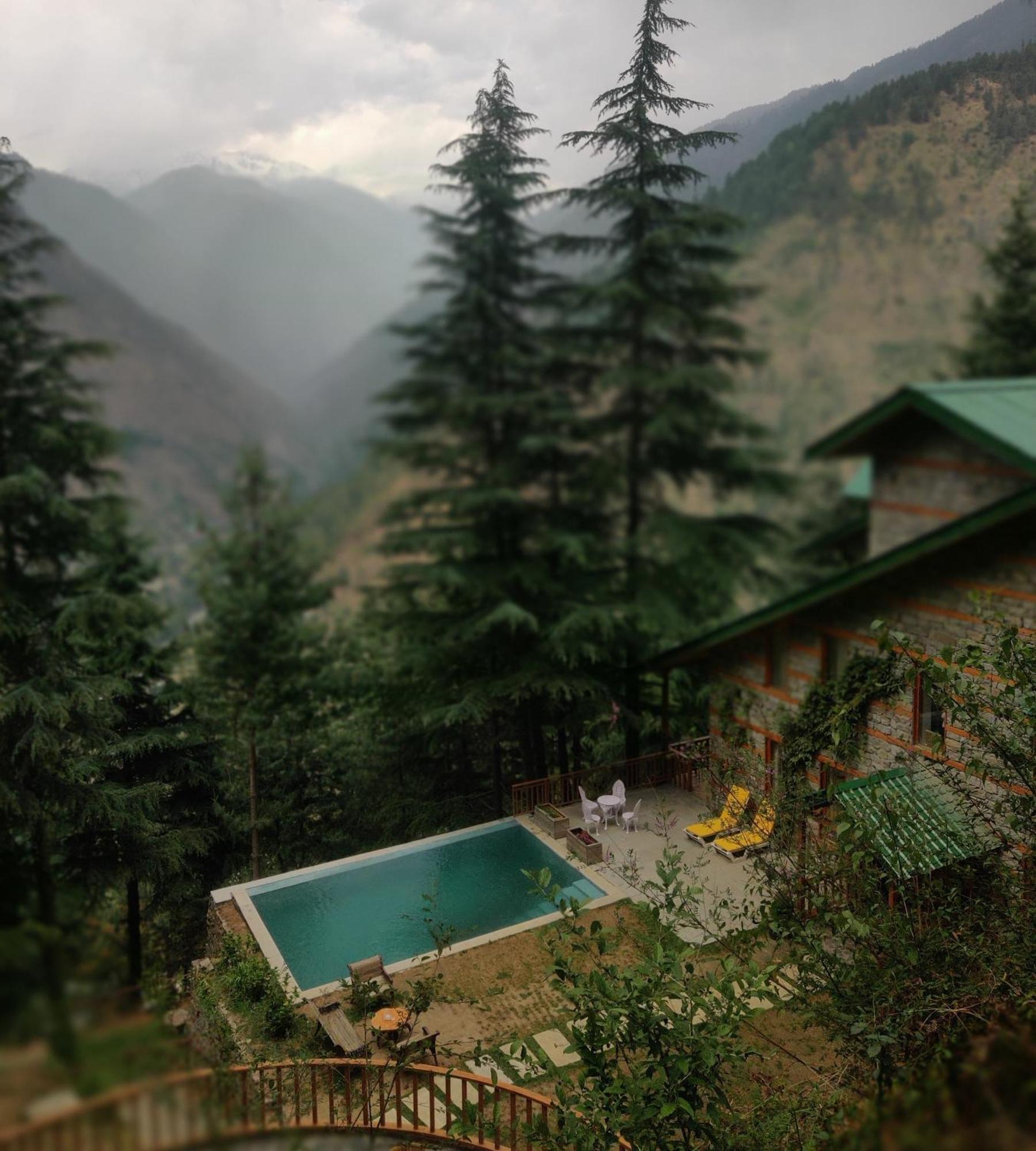 Kudrat - A Boutique Homestay- Tirthan Valley Gushaini Eksteriør billede