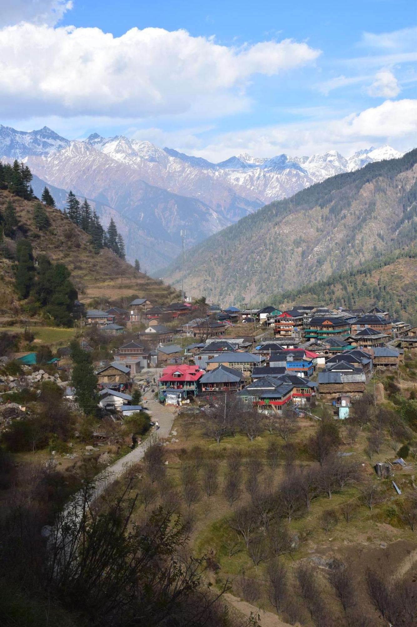 Kudrat - A Boutique Homestay- Tirthan Valley Gushaini Eksteriør billede